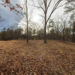 Photo #24 of 577 HAMMOND LN, STAUNTON, VA 42.6 acres