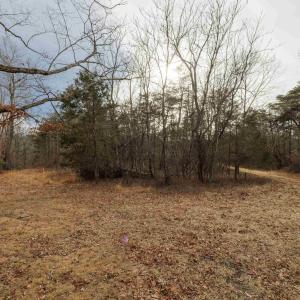 Photo #22 of 577 HAMMOND LN, STAUNTON, VA 42.6 acres