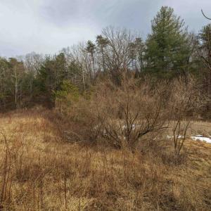 Photo #11 of 577 HAMMOND LN, STAUNTON, VA 42.6 acres