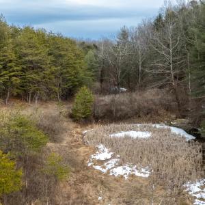 Photo #3 of 577 HAMMOND LN, STAUNTON, VA 42.6 acres