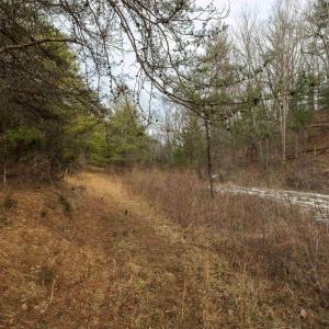 Photo #14 of 577 HAMMOND LN, STAUNTON, VA 42.6 acres