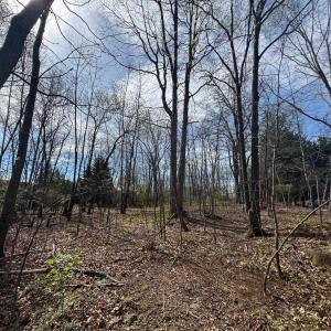 Photo #7 of TBD EDMOND DR, CROZET, VA 0.6 acres