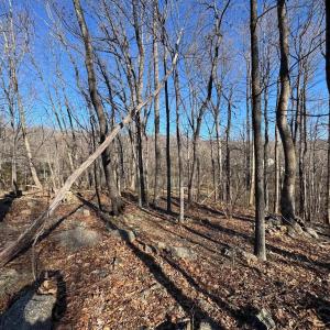 Photo #5 of TBD EDMOND DR, CROZET, VA 0.6 acres