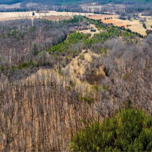 Photo #17 of CENTRAL PLAINS RD, PALMYRA, VA 35.3 acres