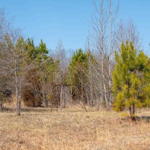 Photo #11 of CENTRAL PLAINS RD, PALMYRA, VA 35.3 acres