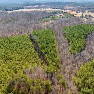 Photo #18 of CENTRAL PLAINS RD, PALMYRA, VA 35.3 acres