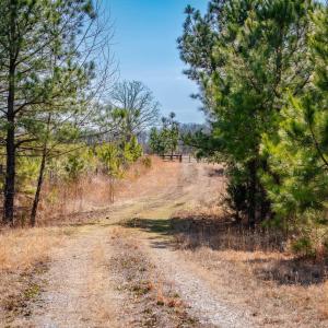 Photo #9 of CENTRAL PLAINS RD, PALMYRA, VA 35.3 acres