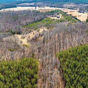 Photo #19 of CENTRAL PLAINS RD, PALMYRA, VA 35.3 acres