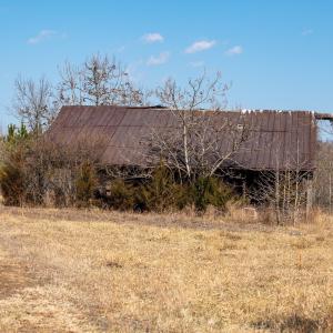 Photo #8 of CENTRAL PLAINS RD, PALMYRA, VA 35.3 acres