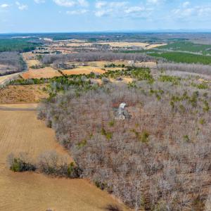 Photo #16 of CENTRAL PLAINS RD, PALMYRA, VA 35.3 acres