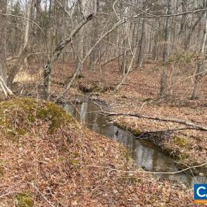 Photo #5 of CENTRAL PLAINS RD, PALMYRA, VA 35.3 acres