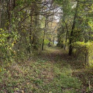 Photo #71 of DRY RUN RD, LURAY, VA 10.4 acres