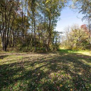 Photo #63 of DRY RUN RD, LURAY, VA 10.4 acres
