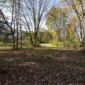 Photo #48 of DRY RUN RD, LURAY, VA 10.4 acres