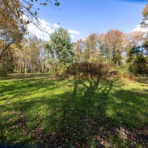 Photo #38 of DRY RUN RD, LURAY, VA 10.4 acres