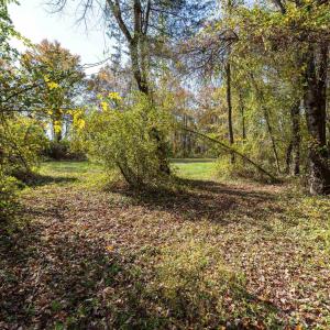 Photo #42 of DRY RUN RD, LURAY, VA 10.4 acres