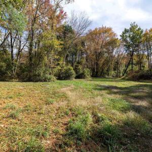 Photo #44 of DRY RUN RD, LURAY, VA 10.4 acres