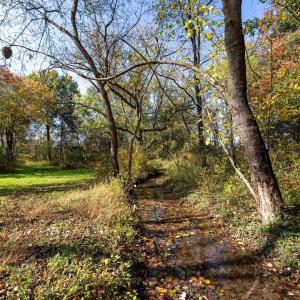 Photo #53 of DRY RUN RD, LURAY, VA 10.4 acres