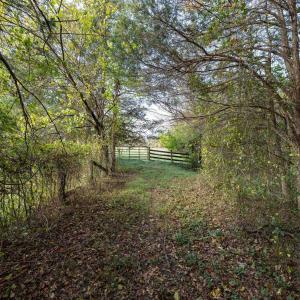 Photo #73 of DRY RUN RD, LURAY, VA 10.4 acres