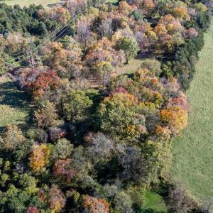 Photo #30 of DRY RUN RD, LURAY, VA 10.4 acres