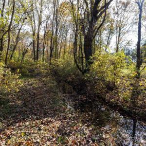 Photo #56 of DRY RUN RD, LURAY, VA 10.4 acres