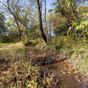 Photo #54 of DRY RUN RD, LURAY, VA 10.4 acres