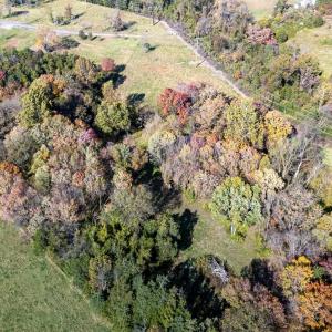 Photo #29 of DRY RUN RD, LURAY, VA 10.4 acres