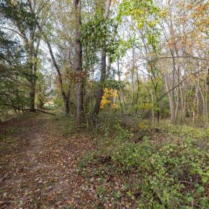 Photo #72 of DRY RUN RD, LURAY, VA 10.4 acres