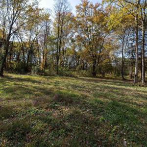 Photo #46 of DRY RUN RD, LURAY, VA 10.4 acres