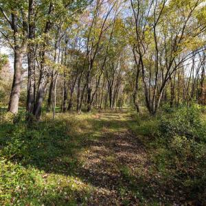 Photo #66 of DRY RUN RD, LURAY, VA 10.4 acres