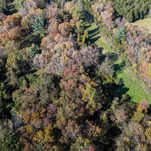 Photo #27 of DRY RUN RD, LURAY, VA 10.4 acres