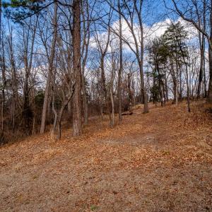 Photo #13 of TBD KISER RD, MOUNT CRAWFORD, VA 36.4 acres