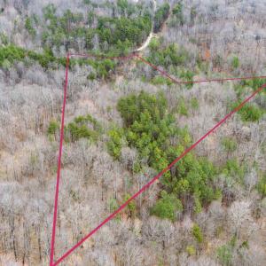 Photo #1 of SHARON RD, ESMONT, VA 15.6 acres