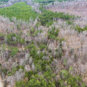 Photo #7 of SHARON RD, ESMONT, VA 15.6 acres