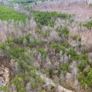 Photo #6 of SHARON RD, ESMONT, VA 15.6 acres