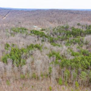 Photo #13 of SHARON RD, ESMONT, VA 15.6 acres