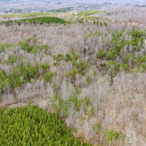 Photo #18 of SHARON RD, ESMONT, VA 15.6 acres