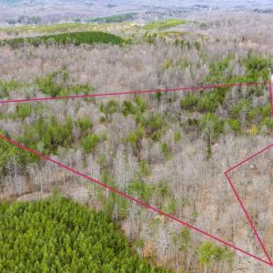 Photo #17 of SHARON RD, ESMONT, VA 15.6 acres