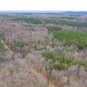 Photo #9 of SHARON RD, ESMONT, VA 15.6 acres