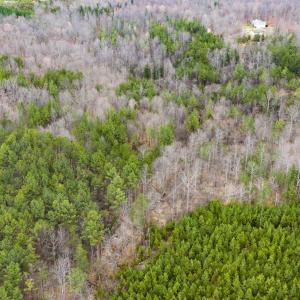 Photo #16 of SHARON RD, ESMONT, VA 15.6 acres