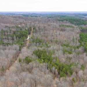 Photo #10 of SHARON RD, ESMONT, VA 15.6 acres