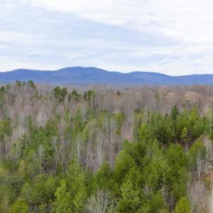 Photo #2 of SHARON RD, ESMONT, VA 15.6 acres