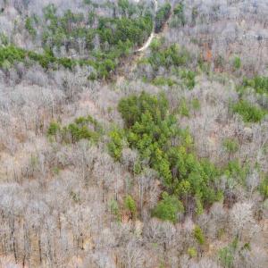 Photo #11 of SHARON RD, ESMONT, VA 15.6 acres