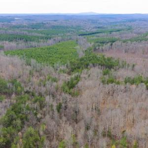 Photo #8 of SHARON RD, ESMONT, VA 15.6 acres