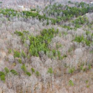 Photo #12 of SHARON RD, ESMONT, VA 15.6 acres