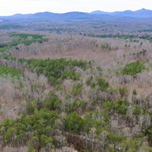 Photo #3 of SHARON RD, ESMONT, VA 15.6 acres