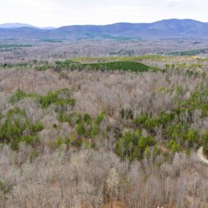 Photo #19 of SHARON RD, ESMONT, VA 15.6 acres
