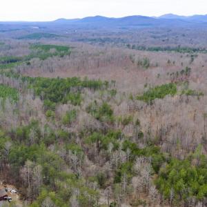 Photo #5 of SHARON RD, ESMONT, VA 15.6 acres