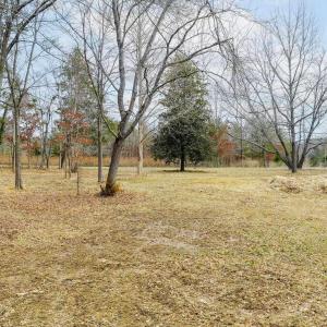 Photo #13 of Lot 8 CLUB VIEW DR, KESWICK, VA 2.3 acres