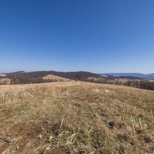 Photo #45 of NEIGHBORS LN, TIMBERVILLE, VA 50.2 acres
